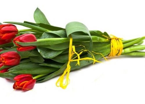 Życzenia z okazji Dnia Matki!