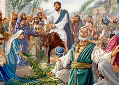 Ogłoszenia Duszpasterskie i Intencje Mszy św. - Niedziela Palmowa