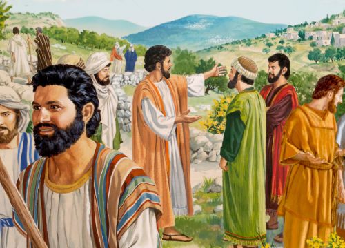 XX Niedziela Zwykła, 17.08.2025