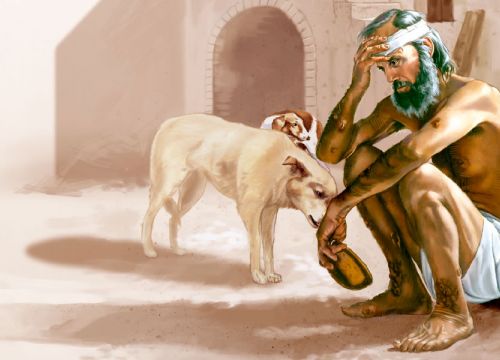 XXVI Niedziela Zwykła, 25 września 2022