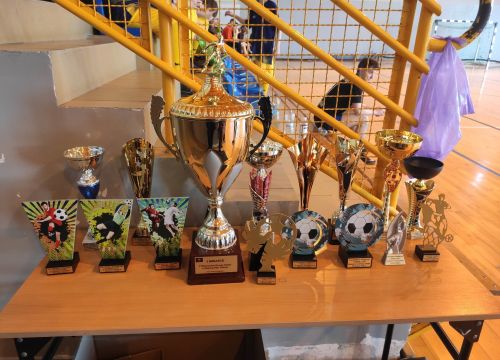 Dekanalne rozgrywki LSO w Brzeznej