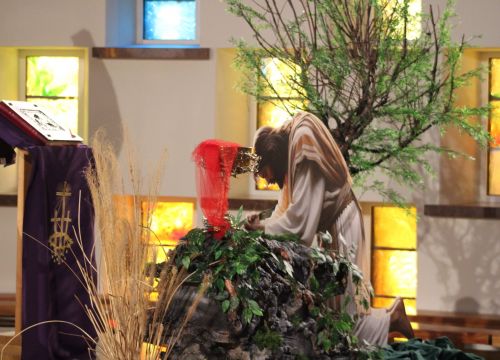 Niedziela Palmowa, 13.04.2025 galeria